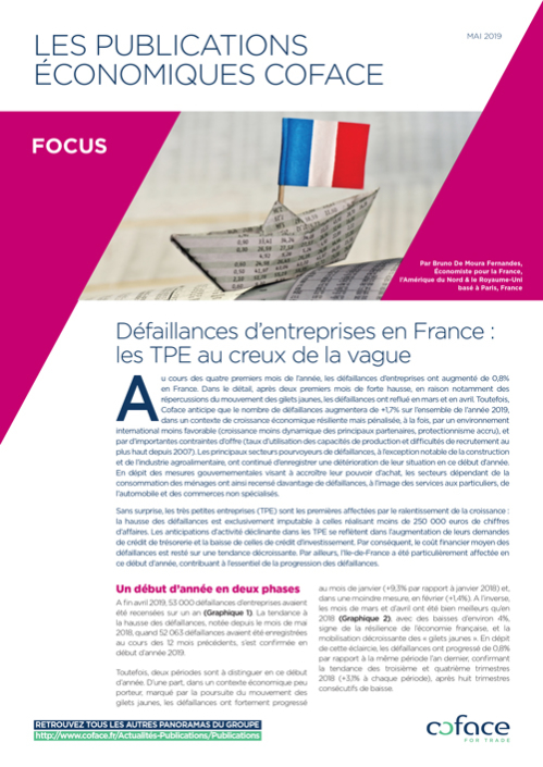 Défaillances d'entreprises en France : les TPE au creux de la vague