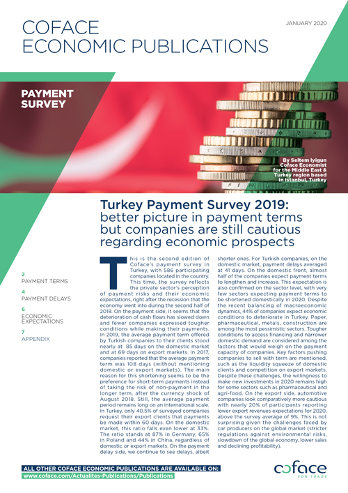 Turkey Payment Survey 2019: better picture in payment terms but companies are still cautious regarding economic prospects