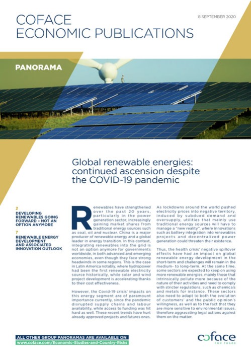 Global renewable energies: continued ascension despite the COVID-19 pandemic